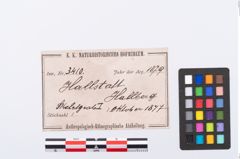 Foto von Bronzebrillenfibel (NHMW-PRAE-003410)